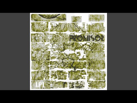 Shade Parade (feat. Foreknown)