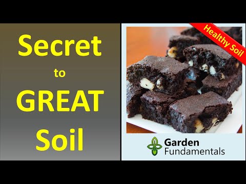 The Secret to Great Soil 🥀🌋🌳 What is it and how do you improve it?