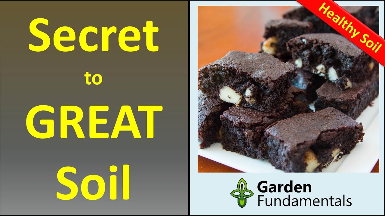 The Secret to Great Soil 🥀🌋🌳 What is it and how do you improve it?
