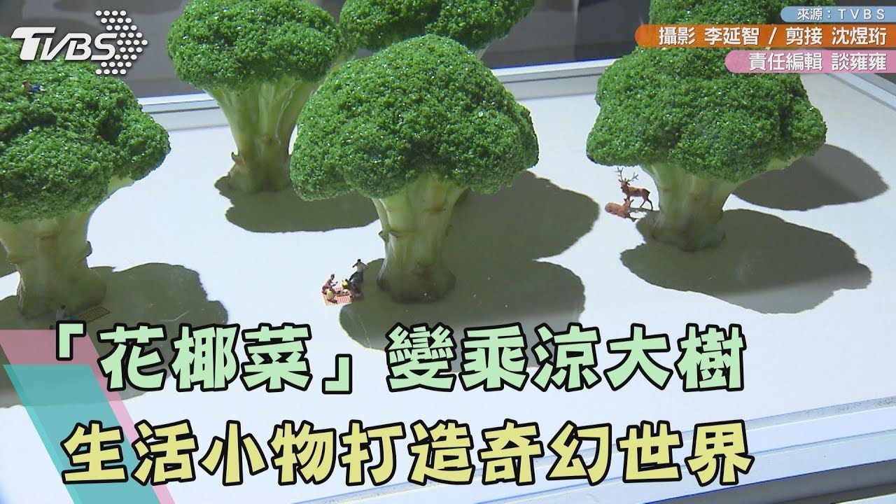 最療癒展覽!化身作品主角 到「花椰菜」森林冒險去