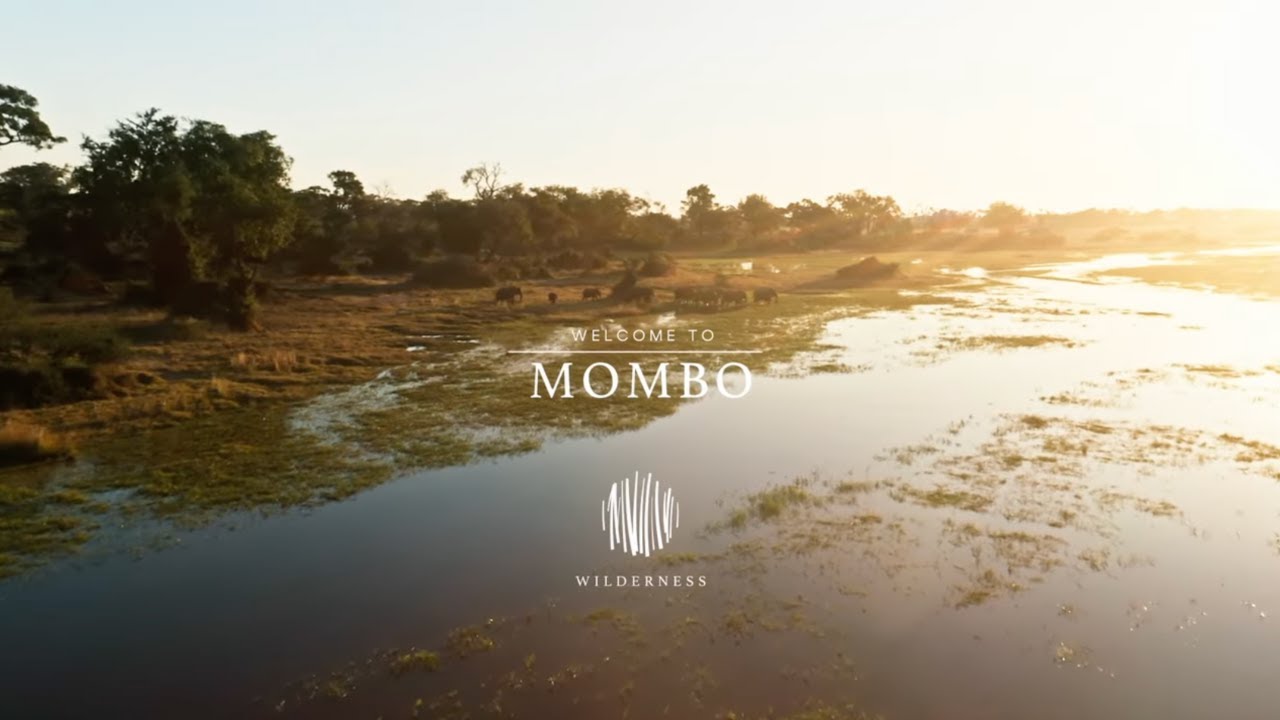 Wilderness Mombo - The Place Of Plenty