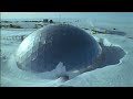 Could You be an Antarctic Scientist? | Life in the Freezer | BBC Earth