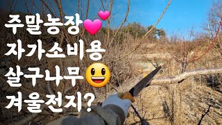 주말농장