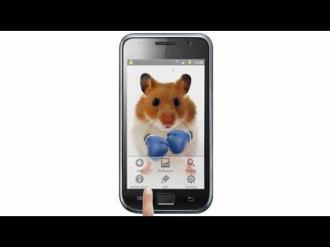 Funny Hamster Cracked Screen Video