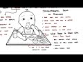 When and how to introduce solids to infants – Feeding guide