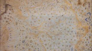 Itasca - Congregation