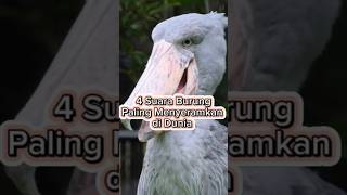 Download lagu Scary bird sound #shortvideo mp3