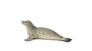 Schleich Tuleň obyčajný