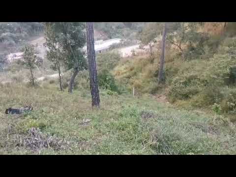 Bonitos lotes disponibles. 