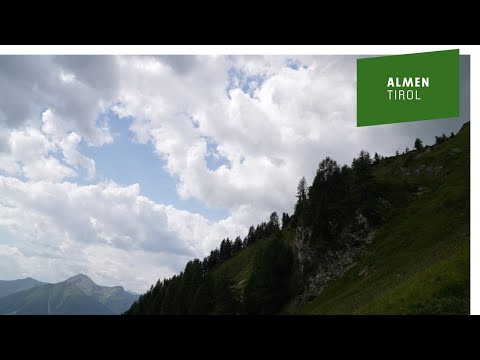 🏔Almidylle oder Schlachtfeld – ist die Angst der Menschen hierzulande berechtigt?