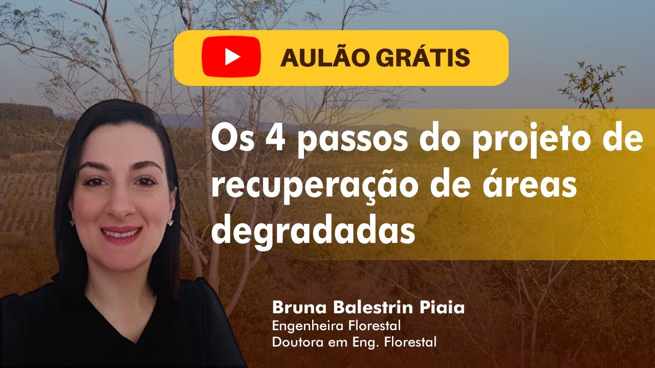 PRAD - Os 4 passos do projeto de recuperação de áreas degradadas
