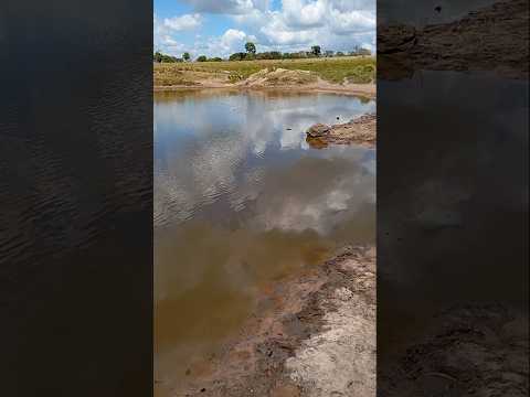 uma represa em município de sítio novo do Maranhão # viralvidios #