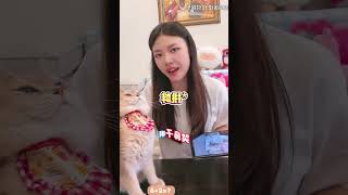 Perler Bead Battle Butterfly Slipper vs  Kitty Fan! 🦋😺✨ #shortvideo