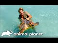 Steve Irwin S Encounters With Sea Creatures The Crocodile Hunter Animal Planet