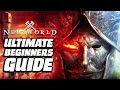 New World Ultimate Beginner’s Guide