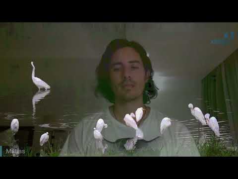 Day 336 Edición y Alineación en Español - PANTANO - Spanish edit- Matias De Stefano