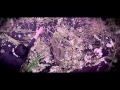 Jonquil - Run 