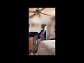 Girl Jumps On Bed And Bounces Off