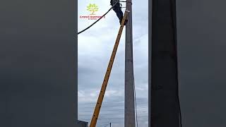 Download lagu Begini Cara PLN Tarik Jaringan Listrik ke Rumah Kalian mp3