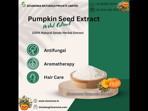 Pumpkin Seeds Extract Powder