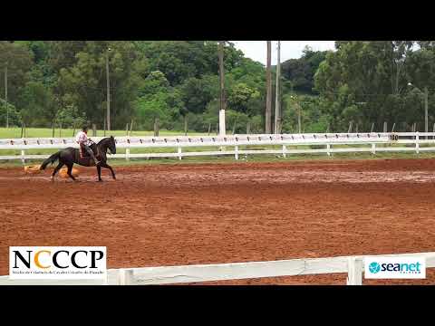 NCCCP 2022 - Andaduras / Figura / VSP e Esbarradas