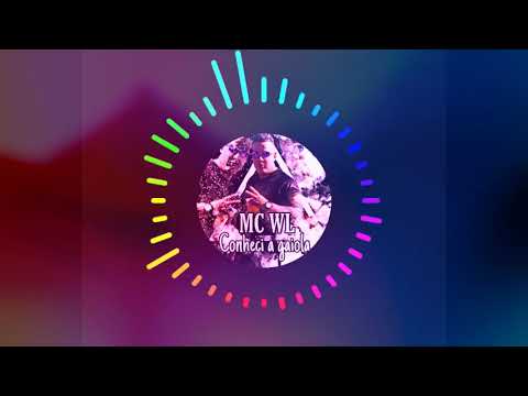 NOVO SING "CONHECI A GAIOLA" / MC WL DA PR E DJ STURT