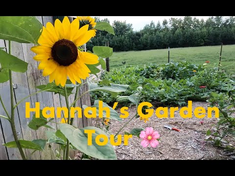 Come Tour Our Back To Eden Garden On The Homestead! 🌱