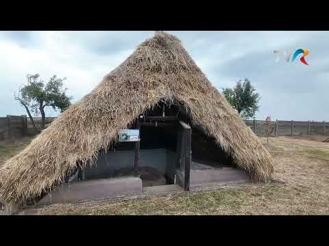 BUCURIA CREDINȚEI CU PĂRINTELE CONSTANTIN NECULA - MEDIEȘU AURIT - 11 ianuarie 2026 - TVR 1