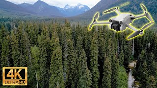 Engelmann Spruce - Subalpine Fir Forest (ESSFdh2) - 4K Drone Flythrough
