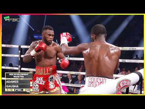 Carlos Adames (Dominican Republic) vs Terrell Gausha (USA) - Boxing Highlights HD