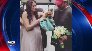 WATCH: Star 94.1’s Jeff Dauler surprises his bride with puppies on wedding day