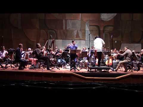 Ibert Flute concerto 3° tempo. Francesco Loi flute. - YouTube