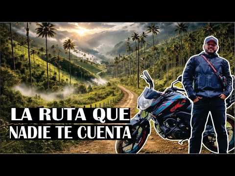 Buscando las palmas mas ALTAS DEL MUNDO - Ruta Salento a Toche 😲🌴