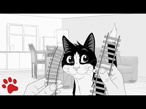 FELIX csapatmunka 1#