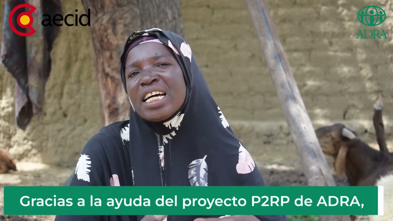 video 2