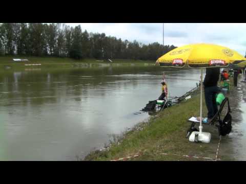 61st Coarse Angling World Championship - Pavlićević Miloš - Serbia