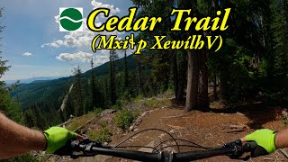 Best mountain bike flow trail in Rossland, BC - Cedar Trail