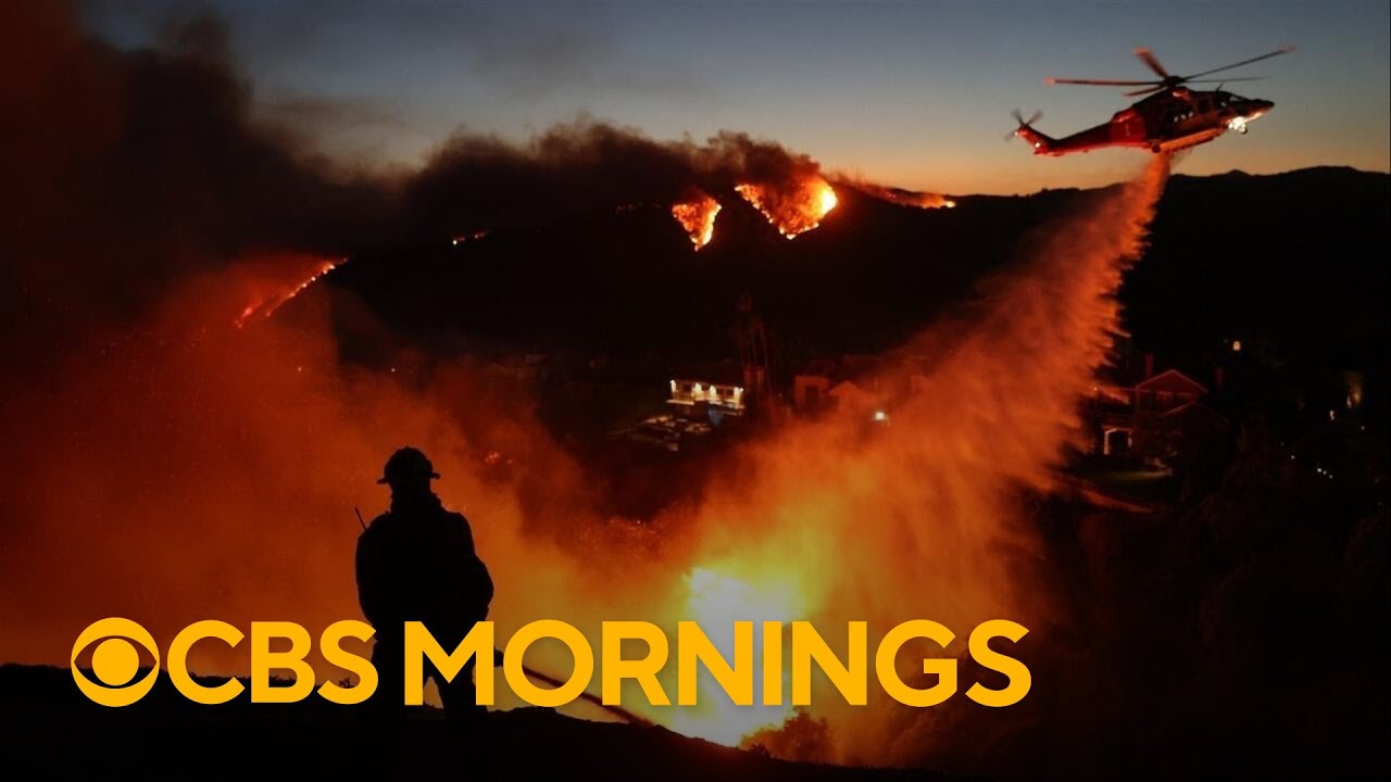 How the devastating Los Angeles wildfires could have been prevented