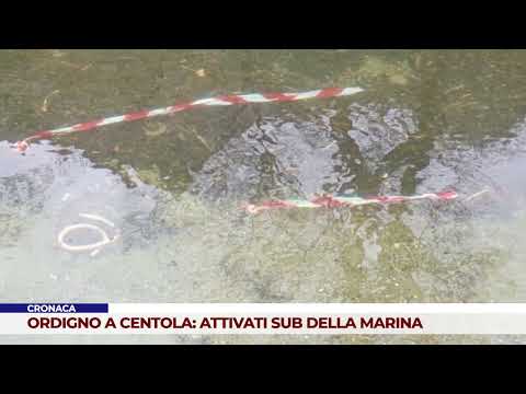 CRONACA. ORDIGNO A CENTOLA: ATTIVATI SUB DELLA MARINA