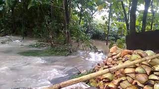 preview picture of video 'Jalur Sondokoro-Nglarangan Kebakkramat Tasikmadu Karanganyar PUTUS JEBOL, tdk bisa dilewati.'