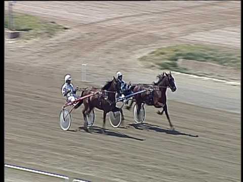 Trotto 08/06/2017 - 1ª prova di qualifica