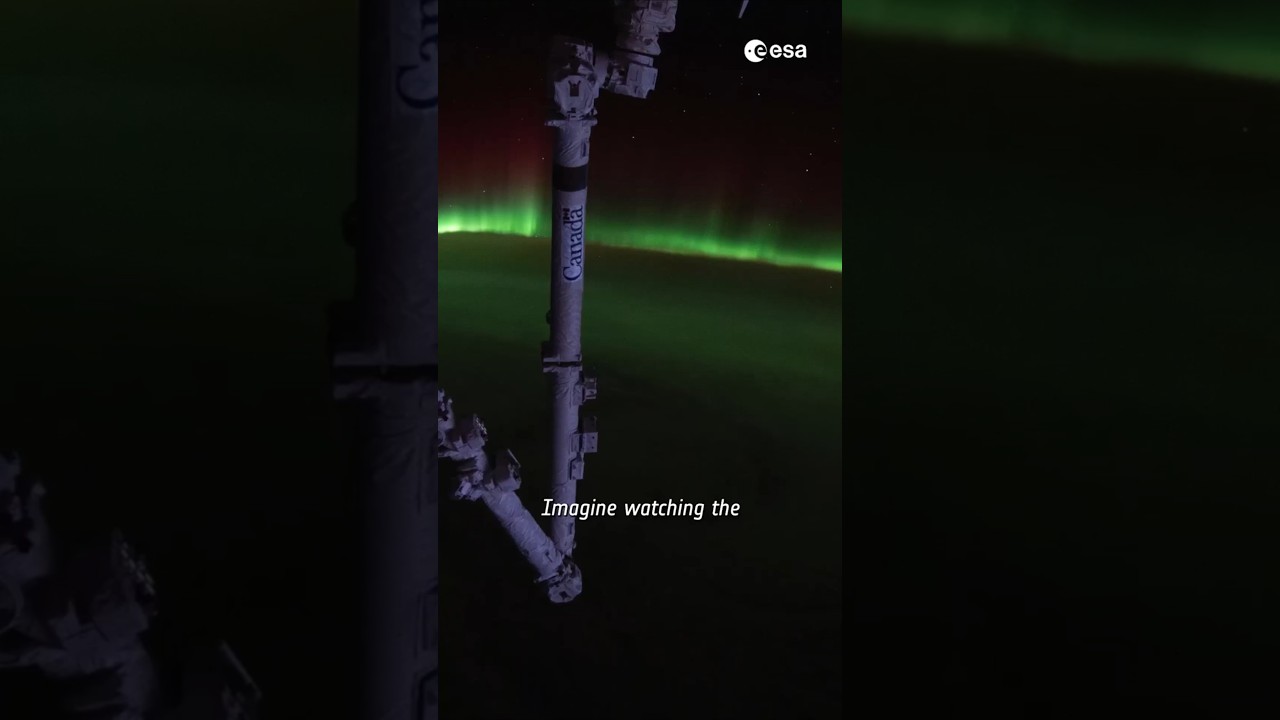 We’ve never seen the northern lights like this before 🤩