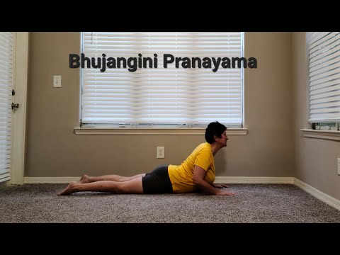 Bhujangini Pranayama - Relax and Destress in a Fun Way with this Playful Breathing Technique