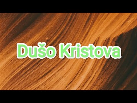 Dušo Kristova, posveti me! Tijelo Kristovo spasi me!