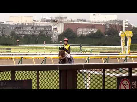 フェブラリーステークス　2022.02.20