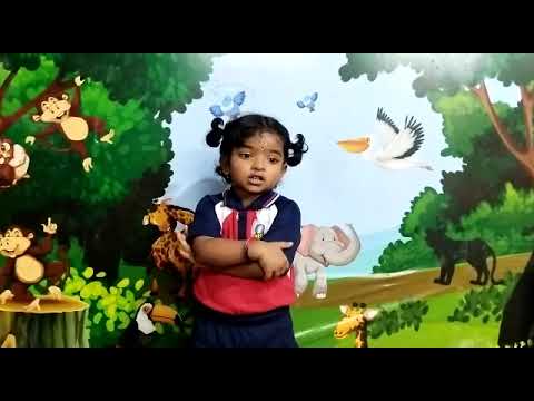 Ch.Ashritha | Animals in Hindi | Rise Play School | Jagannaickpur, Kakinada. (9010435435)
