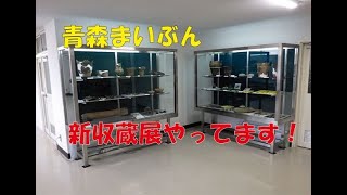 【青森埋文】新収蔵展紹介~第1弾~