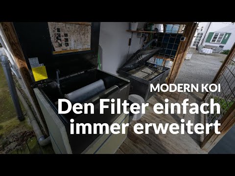 Werners Genesis und OASE Filtertechnik | Modern Koi Blog #6631