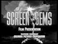 Screen Gems Television Logo