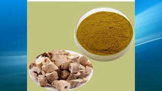 cortex dictamni extract supplier,wholesale,bulk,factory